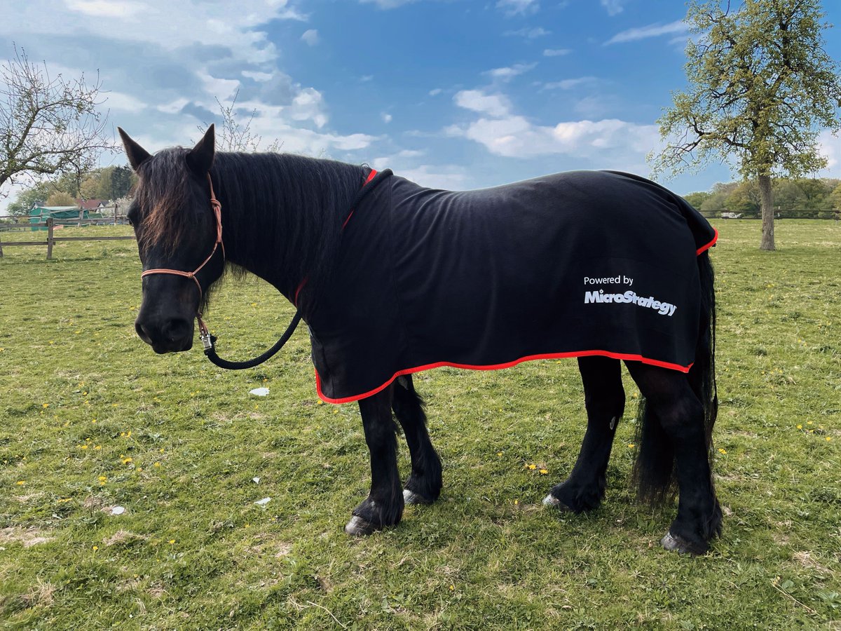 MicroStrategy's tweet photo. A horse is a horse, of course of course π
And we are so lucky to get to see pictures of this MicroStrategy horse, Big Boy Romeo, all the way from Germany.
We really can bring MicroStrategy #IntelligenceEverywhere π
#MSTRPetoftheWeek #PetsofMSTR #EnterpriseAnalytics https://t.co/sIUqPisFmV