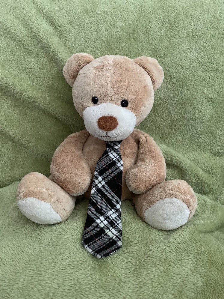 Hello everyone 👋🏼
I am Bernard Bear the Transition Teddy who will help you when you are in Primary 1 <a href="/stbernadettesps/">St Bernadette's PS</a> 
Please look out for my challenges which will help you develop new skills for starting Primary 1 #transition, #primary1, #p1,