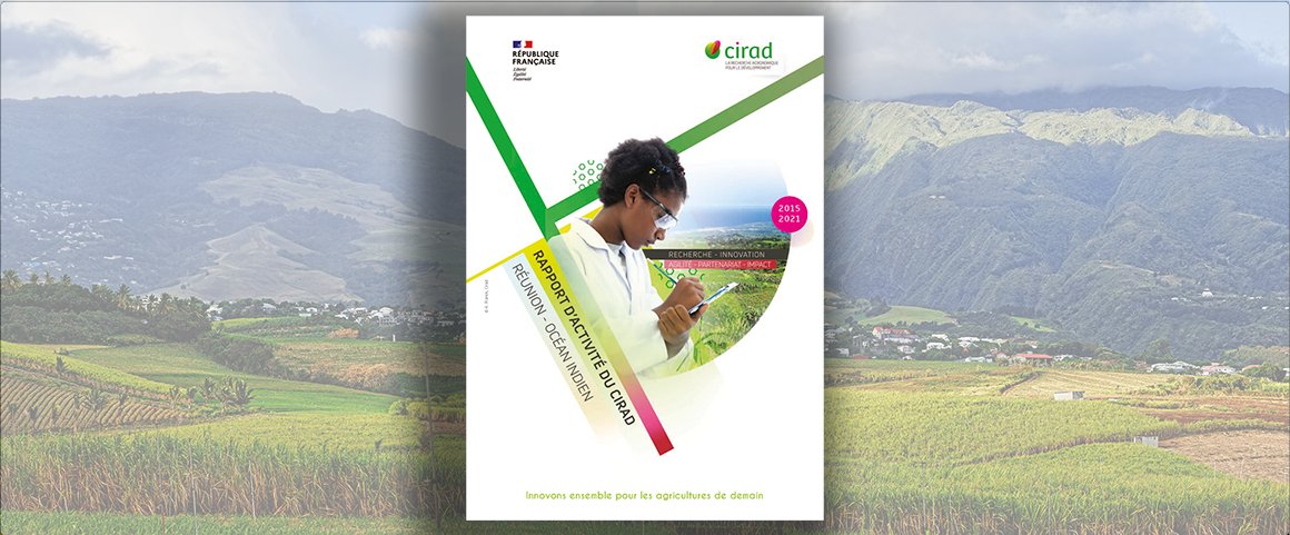 Cirad's tweet photo. Le rapport d'activité du #Cirad à La #Réunion🇷🇪 est en ligne ! Au sommaire notamment : 
🔹Retour sur les #dispositifs de programmation en #partenariat menés depuis 2015
🔹Présentation des  #réseaux de #coopération régionale
🔹Sélection de #SuccessStories
👉https://t.co/1VP7bQzxPH https://t.co/XEYeFoGaTK
