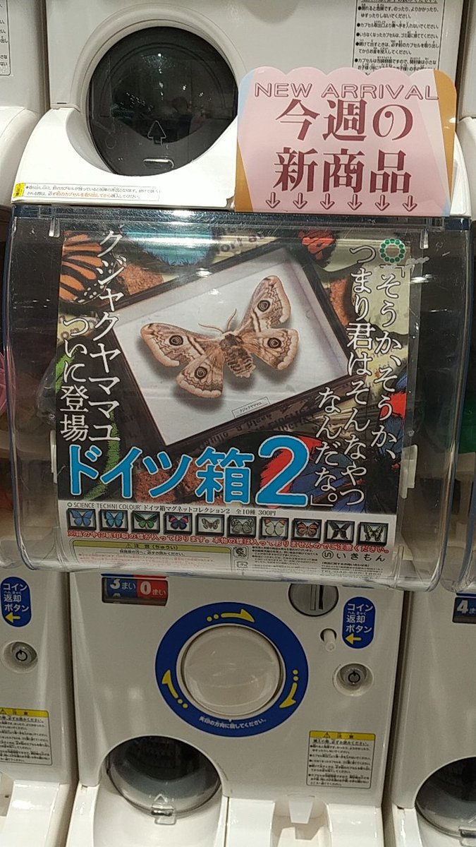 みんな知ってるクジャクヤママユがガチャガチャになって登場 Togetter みんな知ってるクジャクヤママユがガチャガチャになって登場 Togetter