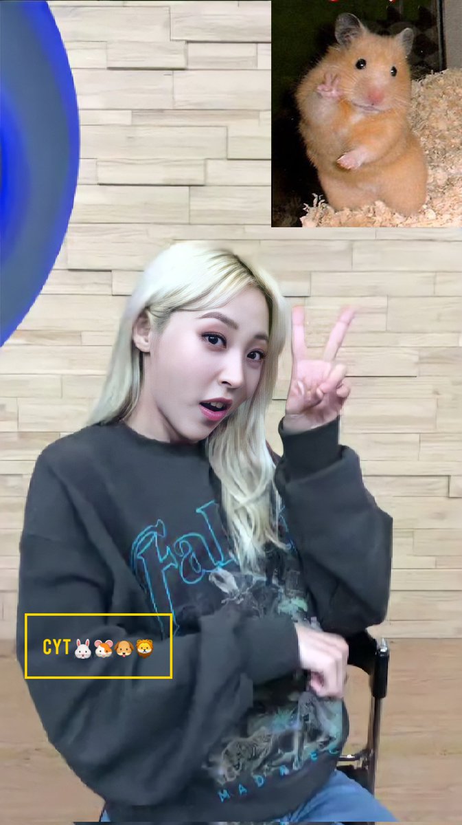 CytMooMoo's tweet photo. 220519 Moonbyul C.I.T.T Wonderwall &amp; Apple Music Fansign

Hamster imitates another hamster🧀🐹

#문별 #MOONBYUL #마마무 #MAMAMOO
@RBW_MAMAMOO https://t.co/yKjE9cFkmX