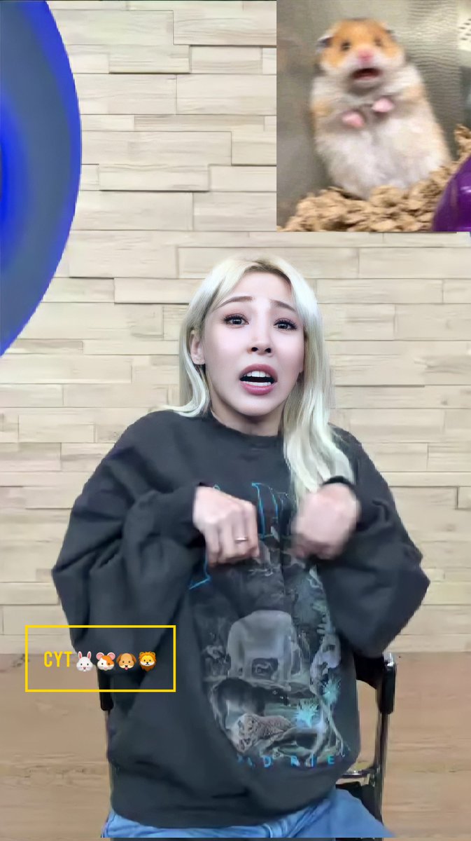 CytMooMoo's tweet photo. 220519 Moonbyul C.I.T.T Wonderwall &amp; Apple Music Fansign

Hamster imitates another hamster🧀🐹

#문별 #MOONBYUL #마마무 #MAMAMOO
@RBW_MAMAMOO https://t.co/yKjE9cFkmX