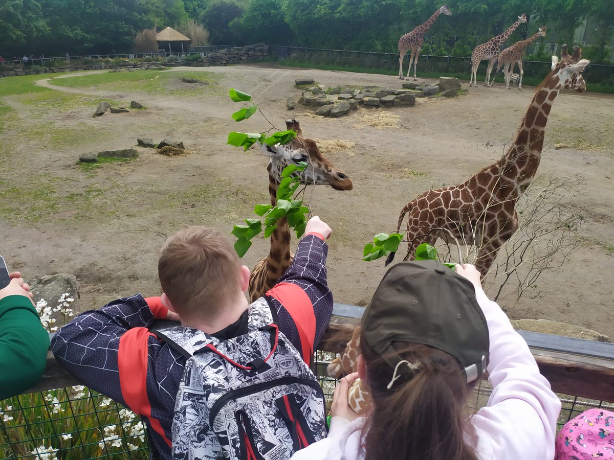 stjosephsrush's tweet photo. Animal Care fieldtrip to  @DublinZoo 🦭🦓🦒a particular hit with Adam &amp; Jane, smiley happy faces all round. Thanks @KevDelahuntyBio @eimearmc16 @AccessTCD @ceist1 @RoisinMcGowan42 @guidance_st https://t.co/GBzD61iKeN