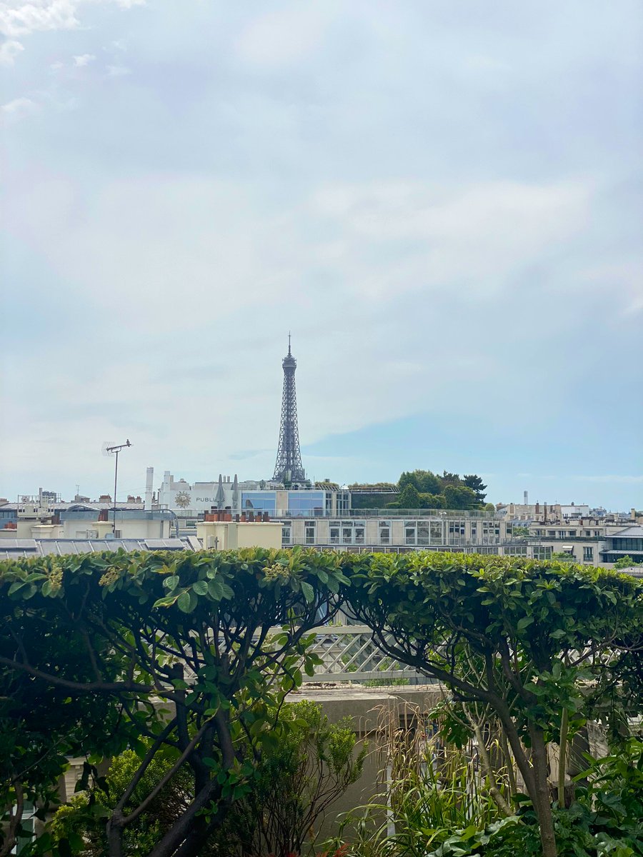 Katie Jacobs Stanton tweet media