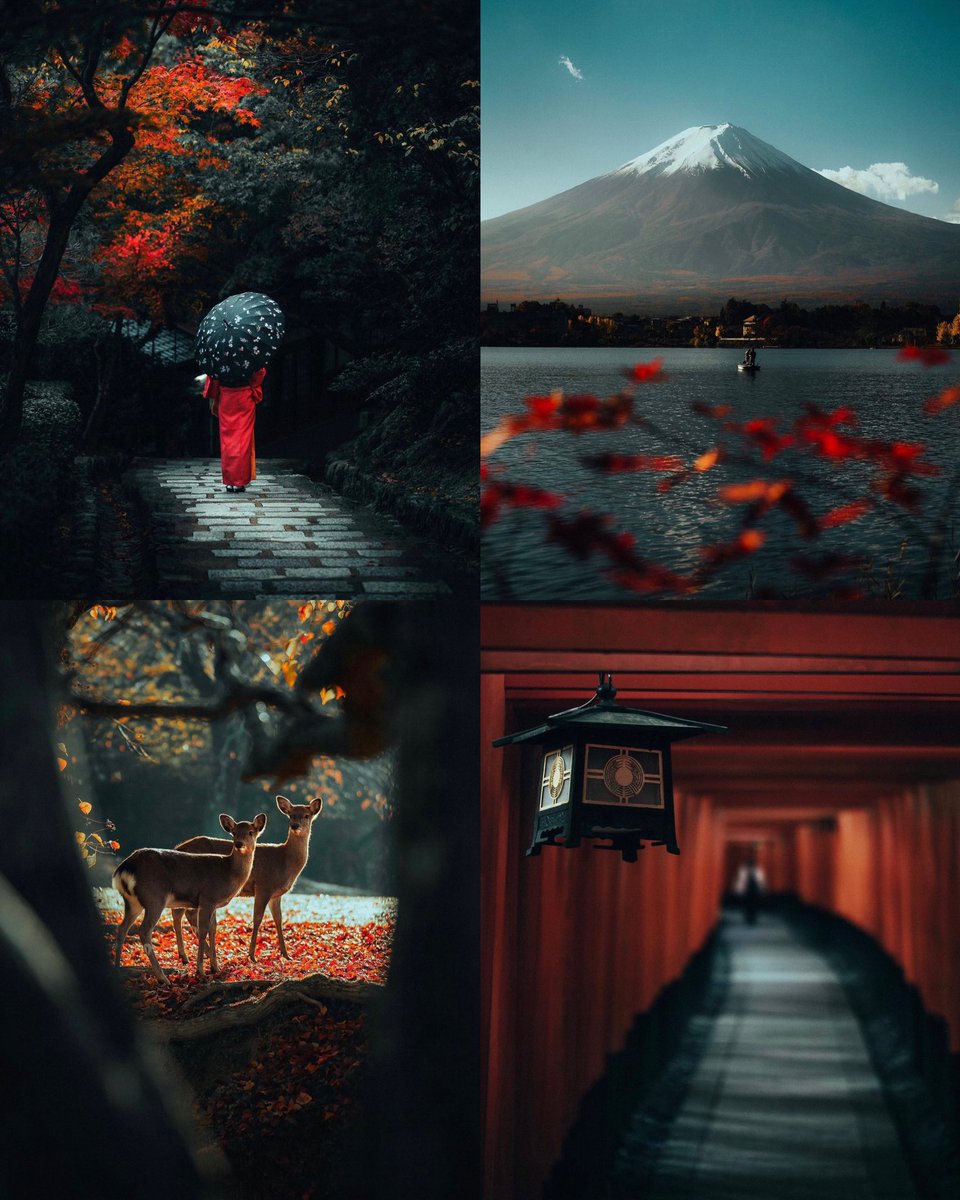 Red details in Japan🇯🇵