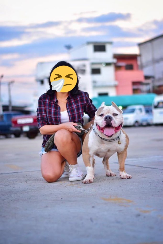 จากแม่ไปดาวหมาแล้วอย่าดื้ออย่าซนนะ
ไม่เจ็บไม่ทรมานแล้วเนอะ
แม่จะคิดถึงน้อง รักน้องตลอดไป
🥲
#GoodbyeGoodboy
#Rossigoodboy