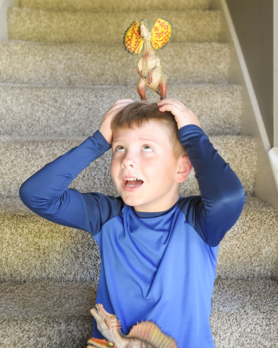 adventureforce_'s tweet photo. Imagination is the best toy! 

#adventureforcebrand #dinosaurs #dinotoys #imaginationatplay #useyourimagination #dilophosaurus #screenfreekids #screenfreesummer https://t.co/6hc9NueTir