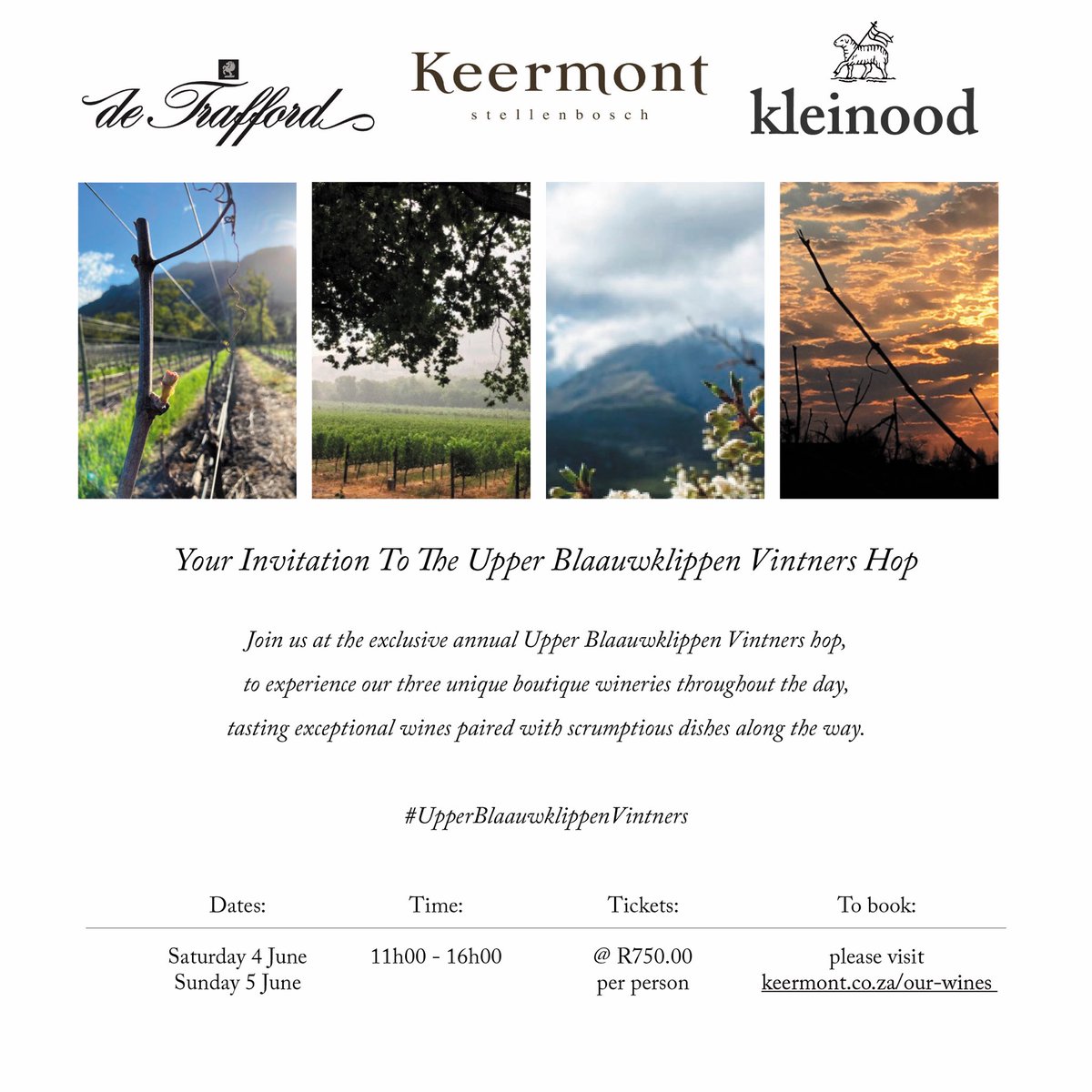 danlikeswine's tweet photo. What is The Vintners Hop (and why should you be going)? Find out on Thursdayโs live show with #DeTrafford, @keermont and @Tamboerskloof - 17:00 on Facebook, Twitter, https://t.co/qUhwjYMunV, and on YouTube here: https://t.co/EkKRfTXZ7G. #DRLW https://t.co/Uc7ZDSqdNL