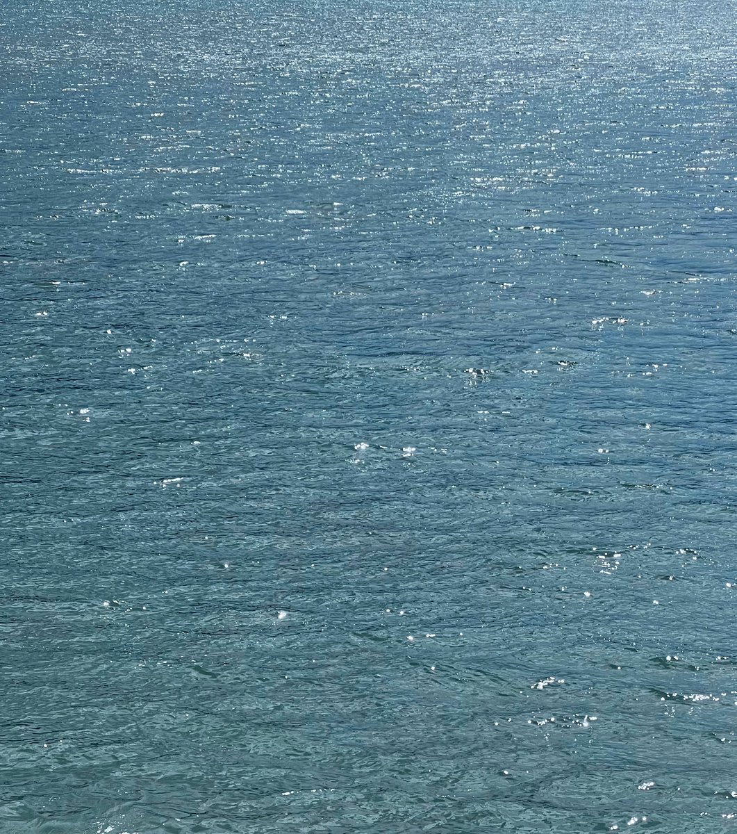 𝗌𝗎𝗇𝗄𝗂𝗌𝗌𝖾𝖽 tweet media