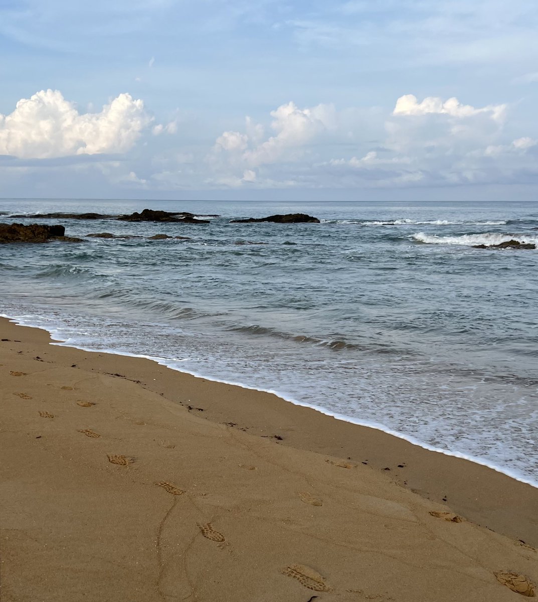 𝗌𝗎𝗇𝗄𝗂𝗌𝗌𝖾𝖽 tweet media