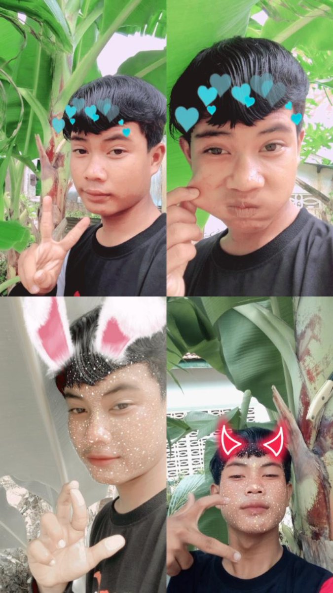 Good night all b b 💗😘 mok doj dog 🐶