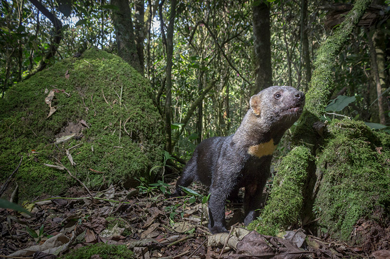 LaAgendadelMar's tweet photo. ¡Concurso de fotografía de naturaleza, ya viene la versión 12!

https://t.co/oKVZhuOVL8 https://t.co/16dfzqCJv5
