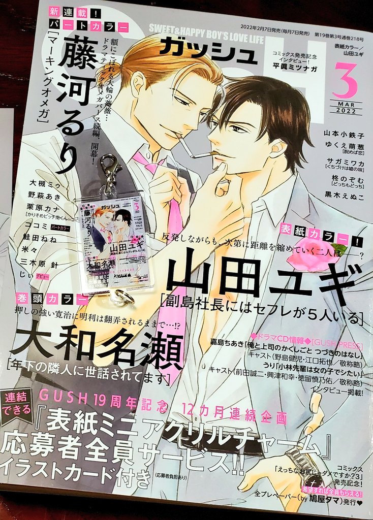 GUSH3月号の表紙アクリルチャームのみほんが届きました~✨表紙がそのまま小さくなったチャーム、ミニチュア好きとしてはとても嬉しい🥰お申し込みくださった方のお手元にも近日中に届くと思います。改めてお申し込みいただきありがとうございました🙇