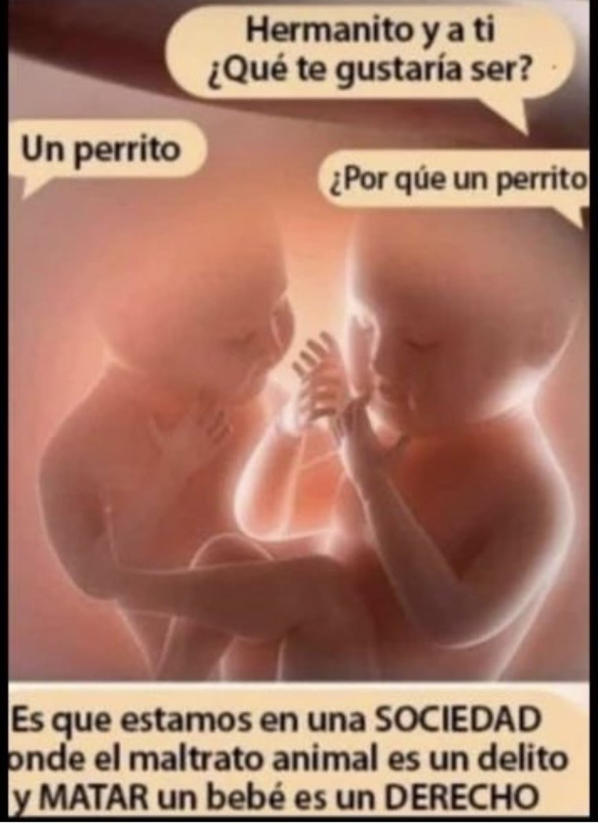 Nuestra nación tiene y debe ser libres de la #XenofobiaCero tolerancia con las personas dañinas de la vida. @NicolasMaduro @dcabellor @Gabrielasjr @LuisinfoVe @JousebioRamos @lirr58274 @twiteritagirl @Briggittems1 @lrrc2020 @YuryHdz08 @IngridJ77 @candanga_angela @InfocentroAtie1