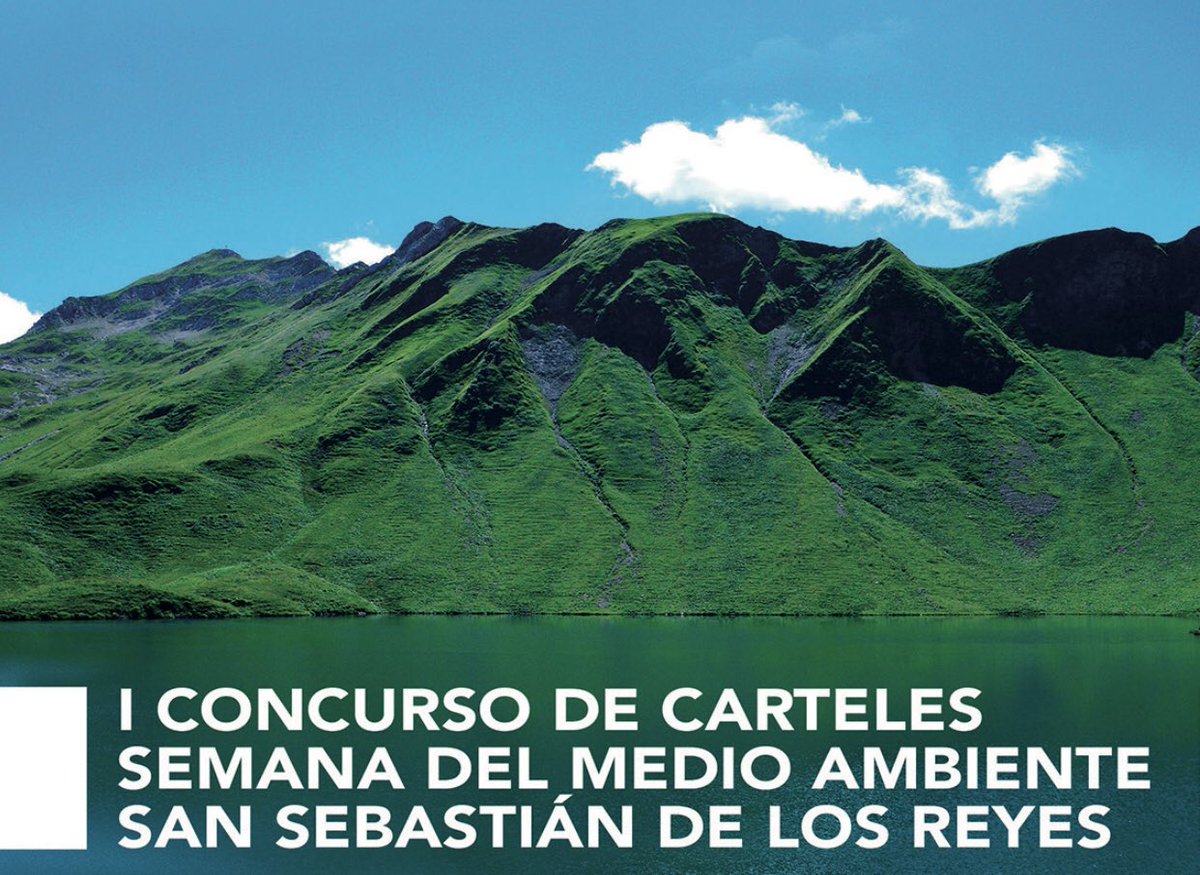 Los alumn@s de Cuarto B han sido los ganadores del I Concurso de carteles para celebrar la Semana del Medio Ambiente de nuestro municipio. Enhorabuena por el reconocimiento de este trabajo hecho entre todos los compañero@s y al aula de Segundo A por haber quedado finalista.