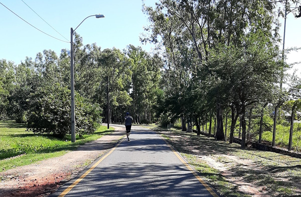Parque Ñu Guasu y Guasu Metropolitano Paraguay tweet media