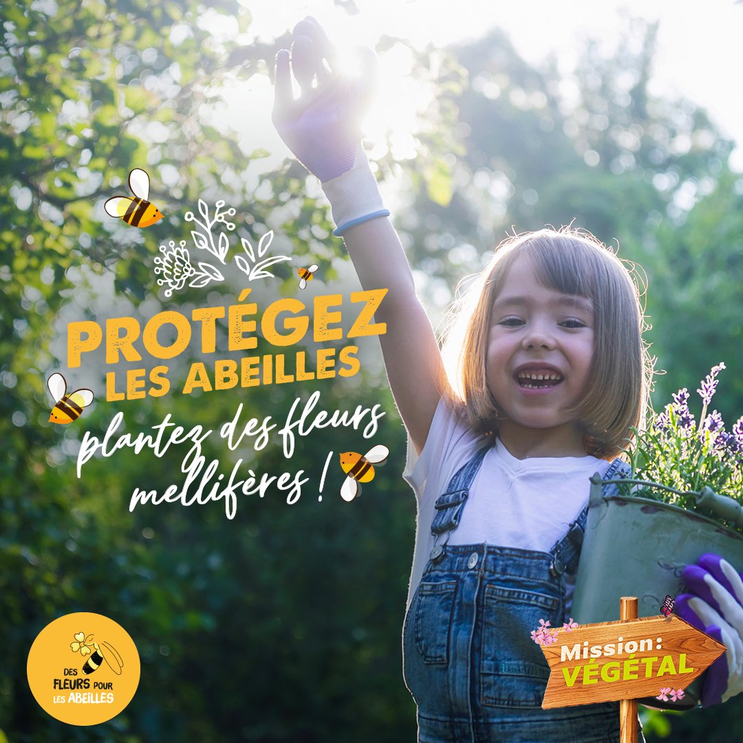 val_hor's tweet image. 🐝La Semaine des Fleurs pour les #Abeilles mobilise les professionnels du #végétal du 10 au 19 juin 2022🐝

Cette opération #nationale vise à sensibiliser les #citoyens à la protection de la #biodiversité. 

▶️sso.valhor.fr/login
#desfleurspourlesabeilles #flowersforbees