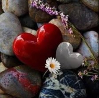 RobertaFinizio's tweet photo. "Quello che diamo non sempre torna. Ma quello che diamo è ciò che siamo"
Buon pomeriggio a tutti voi 🤗☕🌈🌷😘😘😘😘 https://t.co/7YxG91OMlD