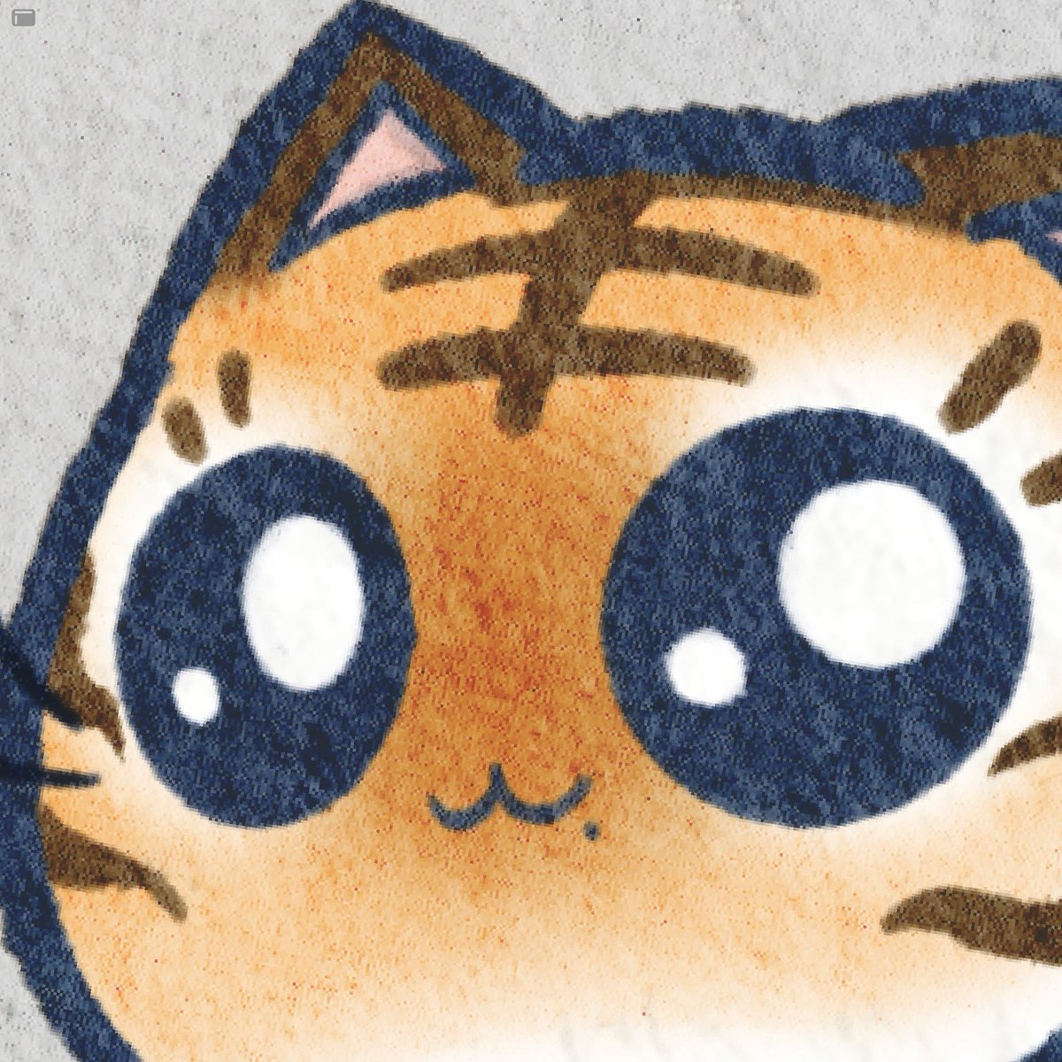 CatsNeverland's tweet photo. 🐯 https://t.co/KyjDvKSyB0
