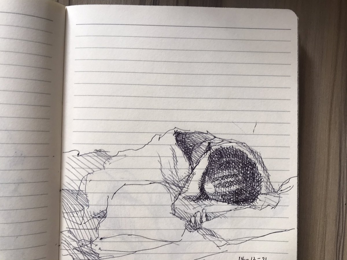 sbthefirstt's tweet photo. which of these sketches should i paint next? https://t.co/Qg9BT4B0ec