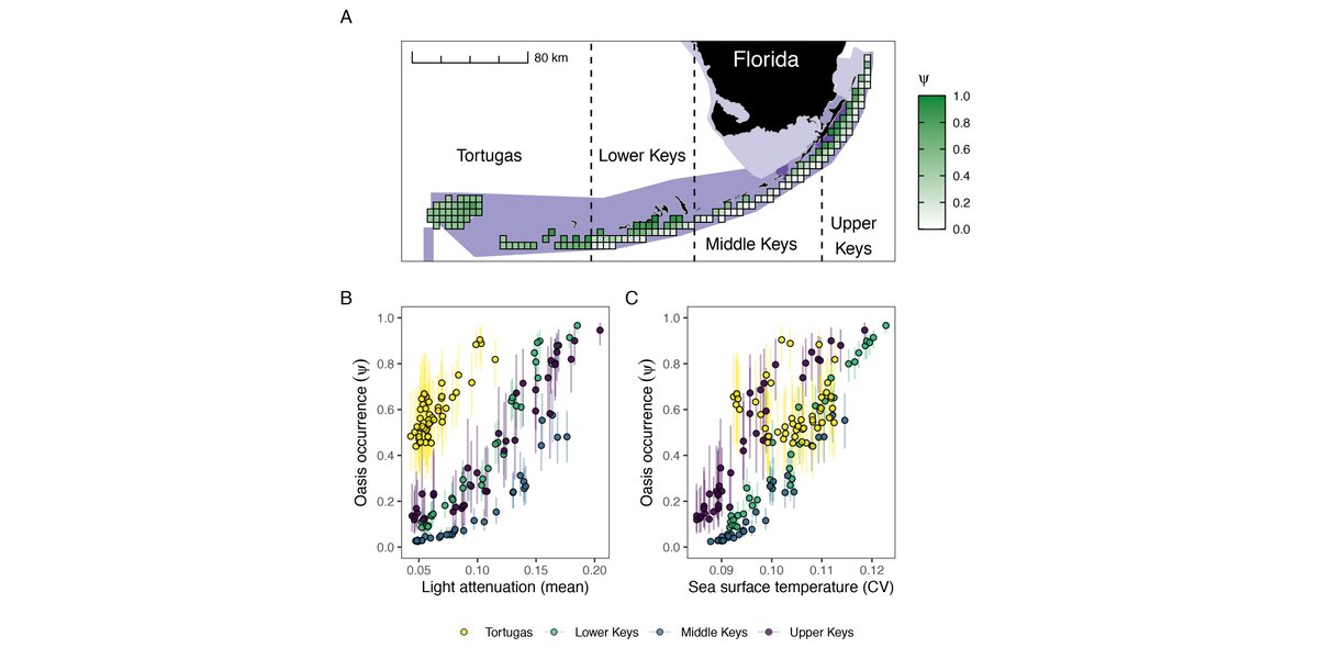 ESAApplications's tweet photo. New in @ESAApplications:

Scale dependence of coral reef oases and their environmental correlates

https://t.co/NWqEfa8Kua

With #OpenData in @StanfordLibs' Digital Repository

@HopkinsMarine 
#CoralReefConservation
#ClimateChange
#OccupancyModeling https://t.co/2Vi7Rq3kFc