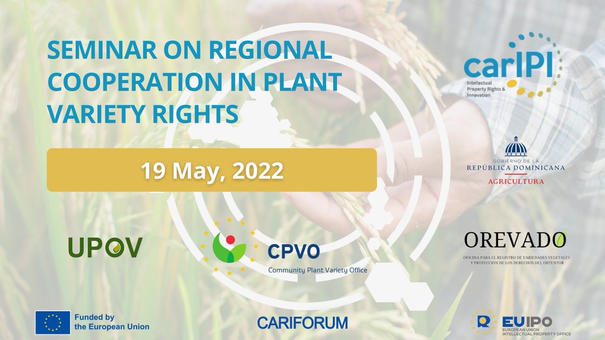 Today #CarIPI is on site at OREVADO <a href="/AgriculturaRD/">Ministerio de Agricultura RD</a>  🇩🇴organising along with #CPVO and #UPOV a seminar on regional cooperation in #PlantVarietyRights 🌱
Thanks to all the participants from the #CARIFOURUM region attending this event!

More info:
internationalipcooperation.eu/en/caripi/acti…