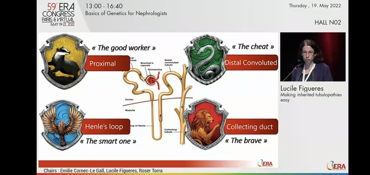 iamnephrologist's tweet image. 🌸BASICS OF GENETICS FOR NEPHROLOGISTS
♨️Making inherited tubulopathies easy
By Lucille Figueres, France

🔆Prof Lucille teaches tubulopathies in her unique way

#ERA22 #GENera22
