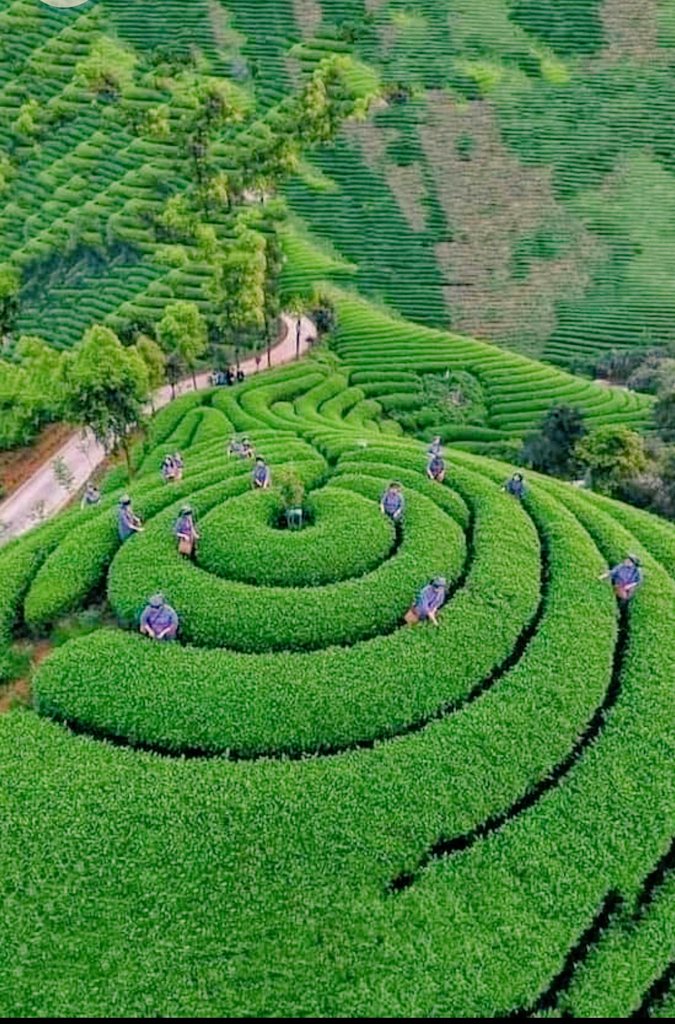 ⭐⭐
@Rinasonc <a href="/Pilcure/">Die sklavinnen greta</a>
<a href="/TlayAnl1903/">TüL🅰️y</a> @cicegiyagmur1 
<a href="/aliglds/">aliglds</a> <a href="/BirNisan55/">Nisan</a> 
<a href="/rtdfn/">𝓓𝓮𝓯𝓷𝓮🚭ᴳᵀⱽᴬᴿ</a> @90AYDD 
<a href="/Chaly751/">Timur Selçuk</a> @asiyeyim16 
<a href="/dedesi_y/">Y.Selim'in dedesi</a> <a href="/SkylerFleur/">254K✨✹ irene ✹✨➐</a> 
<a href="/insdrh/">إناس</a> @1kralim
@es_ke_08_15 <a href="/Cemalddn/">Cemal D</a> 
<a href="/63O06/">®️€M⭕ 🗣️📣 Gt VAR</a>
@61OFS @Duonva 
<a href="/_bir63/">Mehmet</a> @Usta5185 
<a href="/ANSiKLOPEDiN/">🇹🇷ANSİKLOPEDİ</a> <a href="/1Fb_li/">Ⓐli</a>
@1ahal1 <a href="/snshsp/">SNS</a>
<a href="/22umt/">𝙐𝙈𝙐𝙏 EDİRNE</a> <a href="/6hk34/">Hakan Kaynak</a>