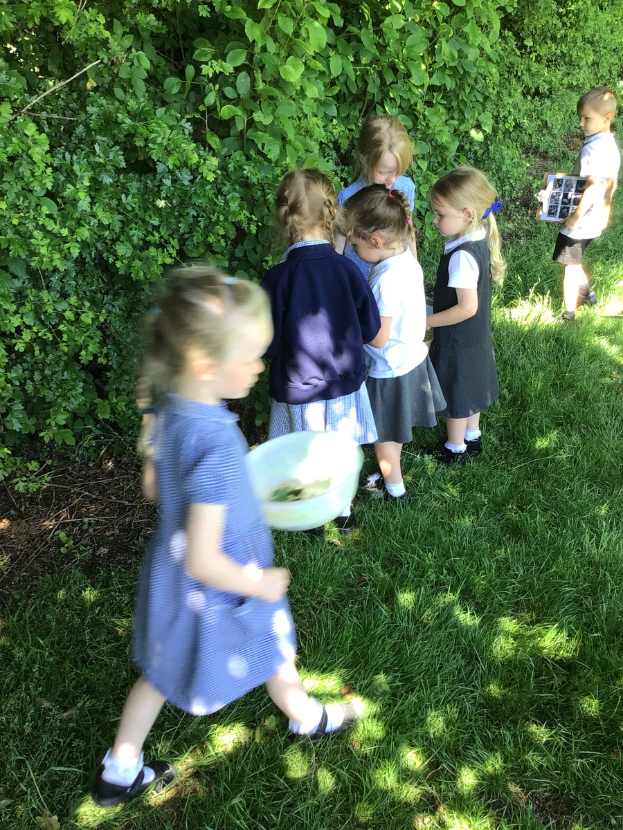 DunstonPrimary's tweet photo. Apples have been looking at the plants and trees around our outdoor areas to try and identify them. #SpiresFed #SpiresScientists #SpiresOutdoorLearning https://t.co/ZFSOlKTxHa