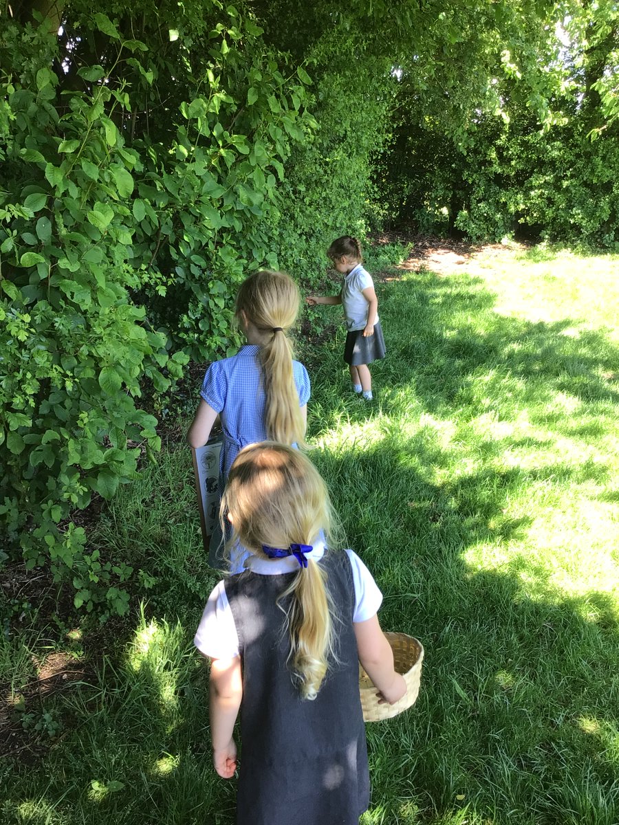 DunstonPrimary's tweet photo. Apples have been looking at the plants and trees around our outdoor areas to try and identify them. #SpiresFed #SpiresScientists #SpiresOutdoorLearning https://t.co/ZFSOlKTxHa