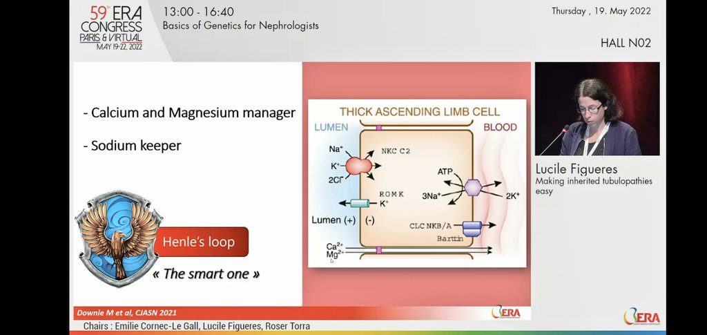 iamnephrologist's tweet image. 🌸BASICS OF GENETICS FOR NEPHROLOGISTS
♨️Making inherited tubulopathies easy

🔆Prof Lucille talks about behavior of tubules

#ERA22 #GENera22