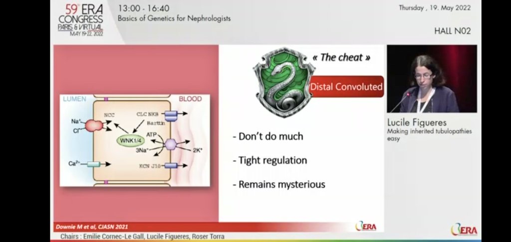iamnephrologist's tweet image. 🌸BASICS OF GENETICS FOR NEPHROLOGISTS
♨️Making inherited tubulopathies easy

🔆Prof Lucille talks about behavior of tubules

#ERA22 #GENera22