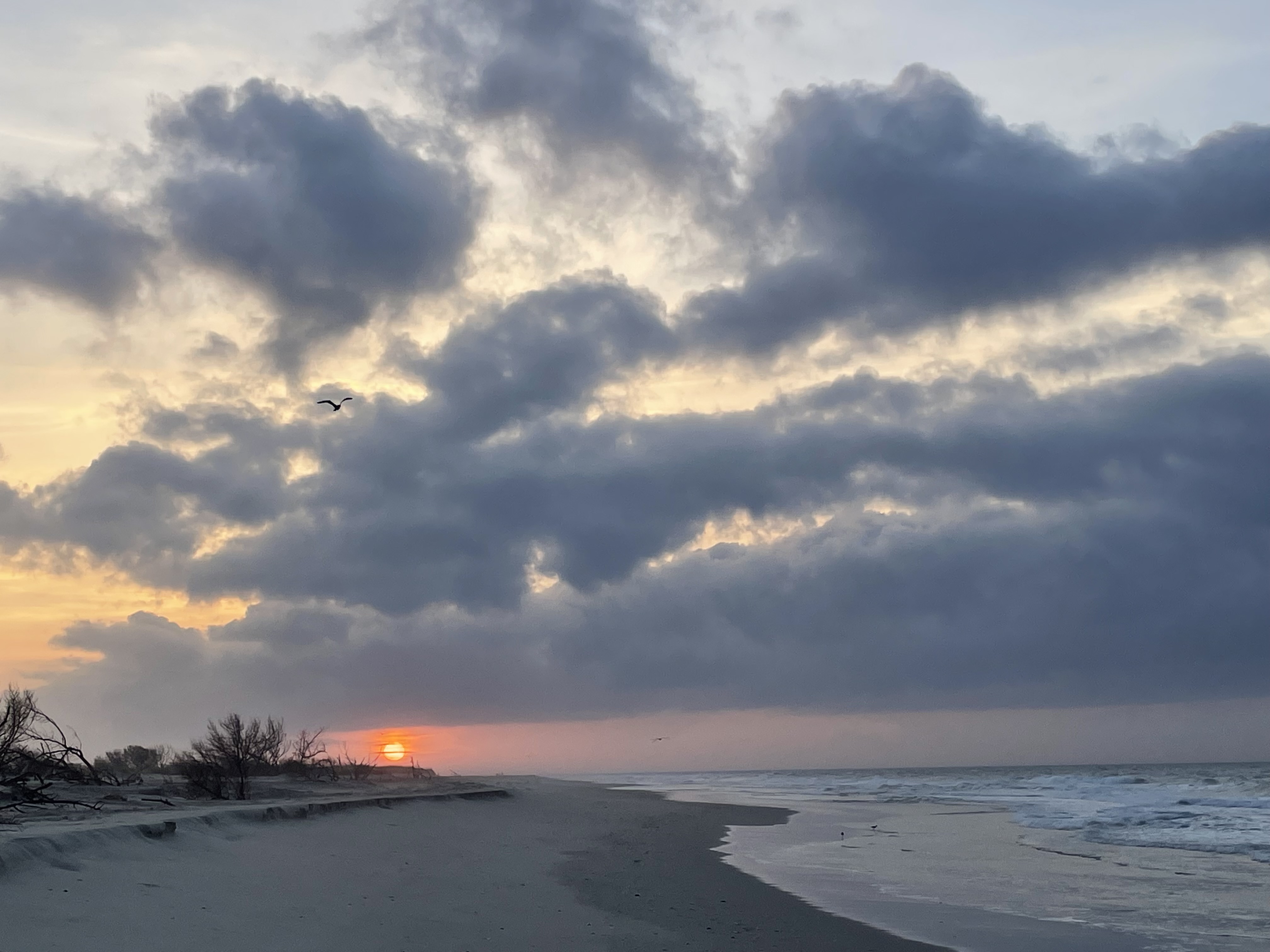 sunset funeral home in rockford illinois