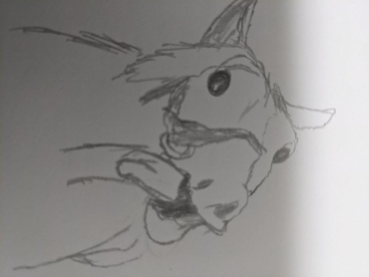 GOLDSHIPSZI's tweet photo. #同じ人が描いたとは思えない絵を貼る

これかな？ https://t.co/uXVH8gy5OD