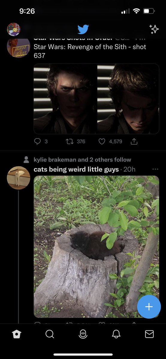 wavydesperado's tweet photo. Same energy https://t.co/8BdszTha1C