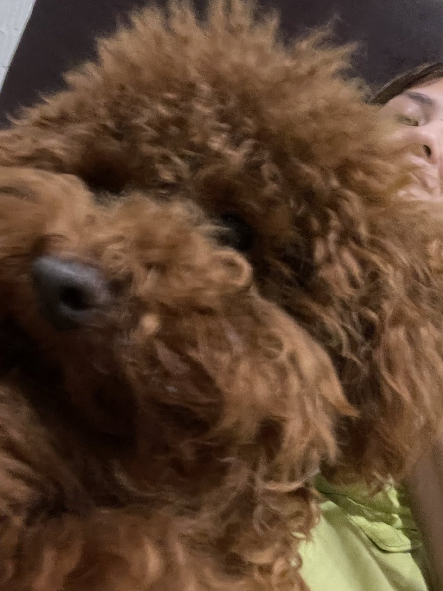 Angie Ang 🌹 tweet media