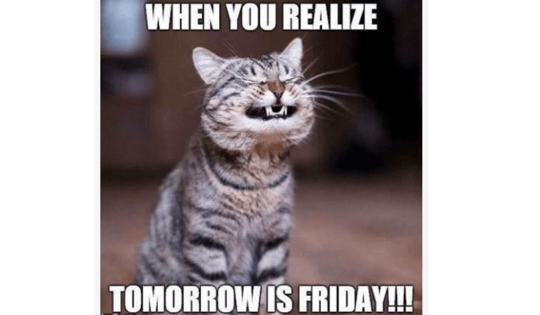 CapitolPlaces's tweet photo. Happy almost Friday!
(803) 779-5171
https://t.co/s8EZq33i2G
https://t.co/wtKbnZE5g0
.
.
.
#CapitolPlaces #apartmentlife #downtownliving #syncoproperties #mainstcolasc #mainstdistrict
#realcolumbiasc #discoversc #columbiyeah #columbia #sc #southcarolina #famouslyhot #gocola https://t.co/YBgxaeTTzT