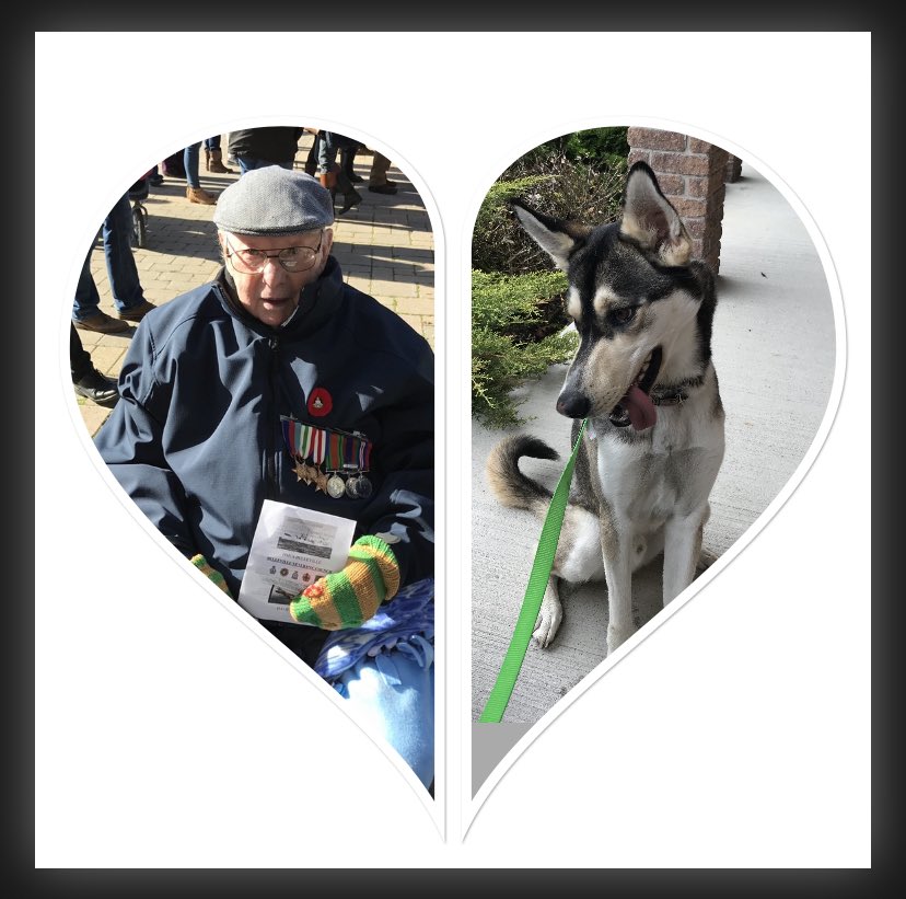 CarrieGregoire's tweet photo. Today marks the anniversary of the most bitter/sweet day of my life. 4 yrs ago today I lost my Grandpa. My rock, my hero, my mentor. On the same day we rescued Wolfie. Wolfie has brought so much love to my life and is truly the best companion. Love you both. ❤️Miss you Grandpa❤️ https://t.co/9KBZdCqyMG