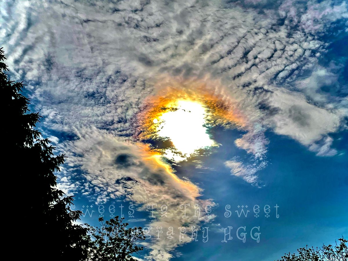 1ExquisiteKiss's tweet photo. I should have been in bed hrs ago 🫠🫠🫠
#photosoftheday #flowerpower #mygarden #whatsupbuttercup #fireinthesky #cloudporn #sleepwhenidie https://t.co/YYxaNS8tMf