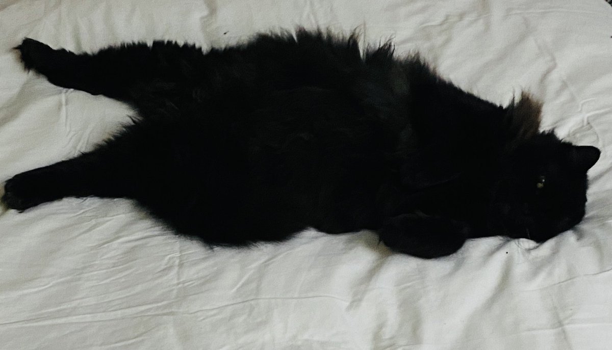 bookwagonuk's tweet photo. #Wednesdaymorning fell into Tuesday night as the #Bookwagon team worked till 3:00 am on a #school #booklist of #recommended #childrensbooksโฆ. https://t.co/dXIhAiliLs