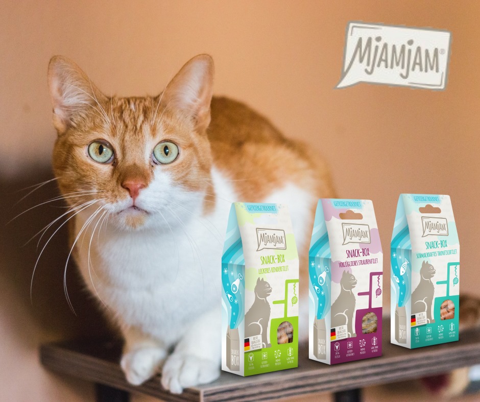 hovhov's tweet photo. Pridnost mačk se že tisočletja meri v njihovi sposobnosti poležavanja. 😺 Ker so mačke v tej kategoriji ene najbolj pridnih 💪, imamo za njih na spletnih policah #MjaMjaM priboljške, da ti repek zatrepeče!😻
Link do opisa številnih receptur in nakup: https://t.co/SpY5V2gZjd https://t.co/JWivBbm3u4