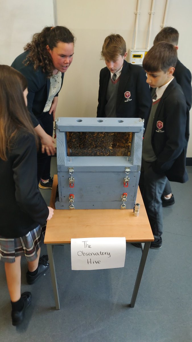 ClaregalwayColl's tweet photo. Great fun today with @c_fergus1 live demonstration of bees in the observatory hive, honey tasting station, virtual hive and find the queen game. #BiodiversityWk #BeePower #UnderstandingOurWorld https://t.co/4B0WVyGIza