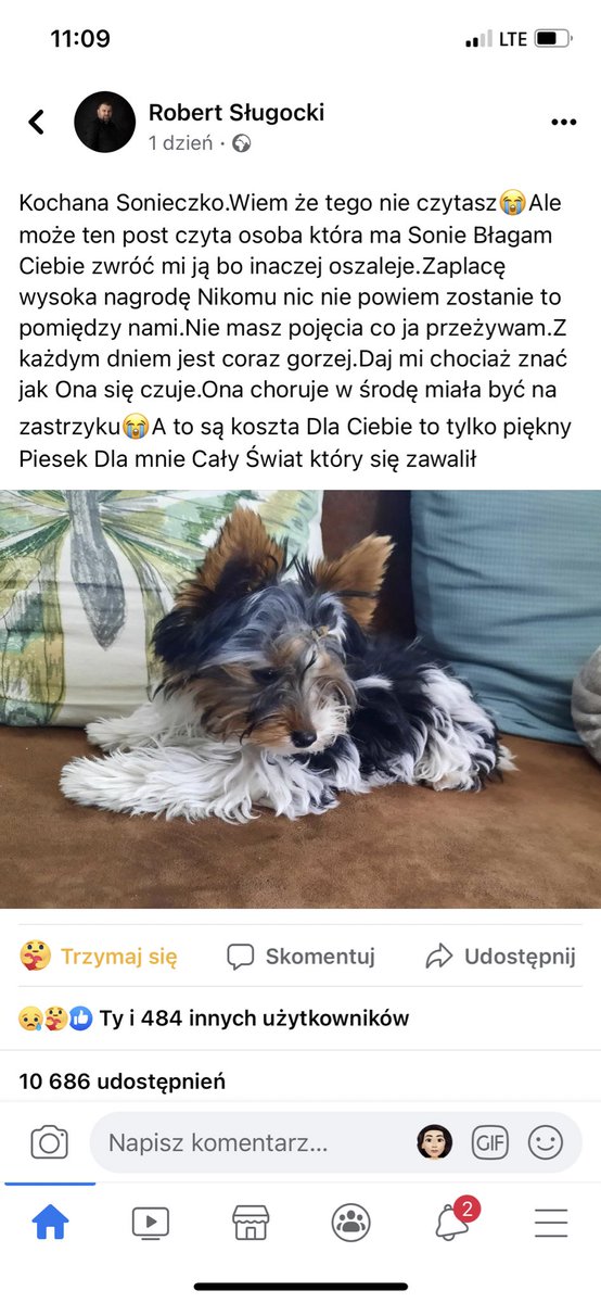yourbnbg's tweet photo. jeju płakać mi się chce temu panu skradziono pieska, udostępnijcie to dalej jeśli możecie i tutaj j na fb https://t.co/Y2FYBYQboW