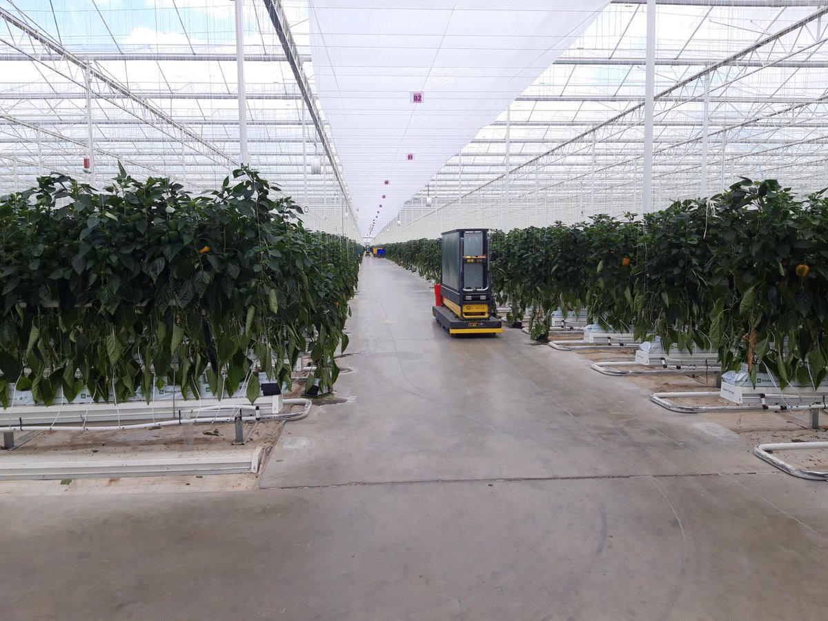 DebenFarmClub tweet picture