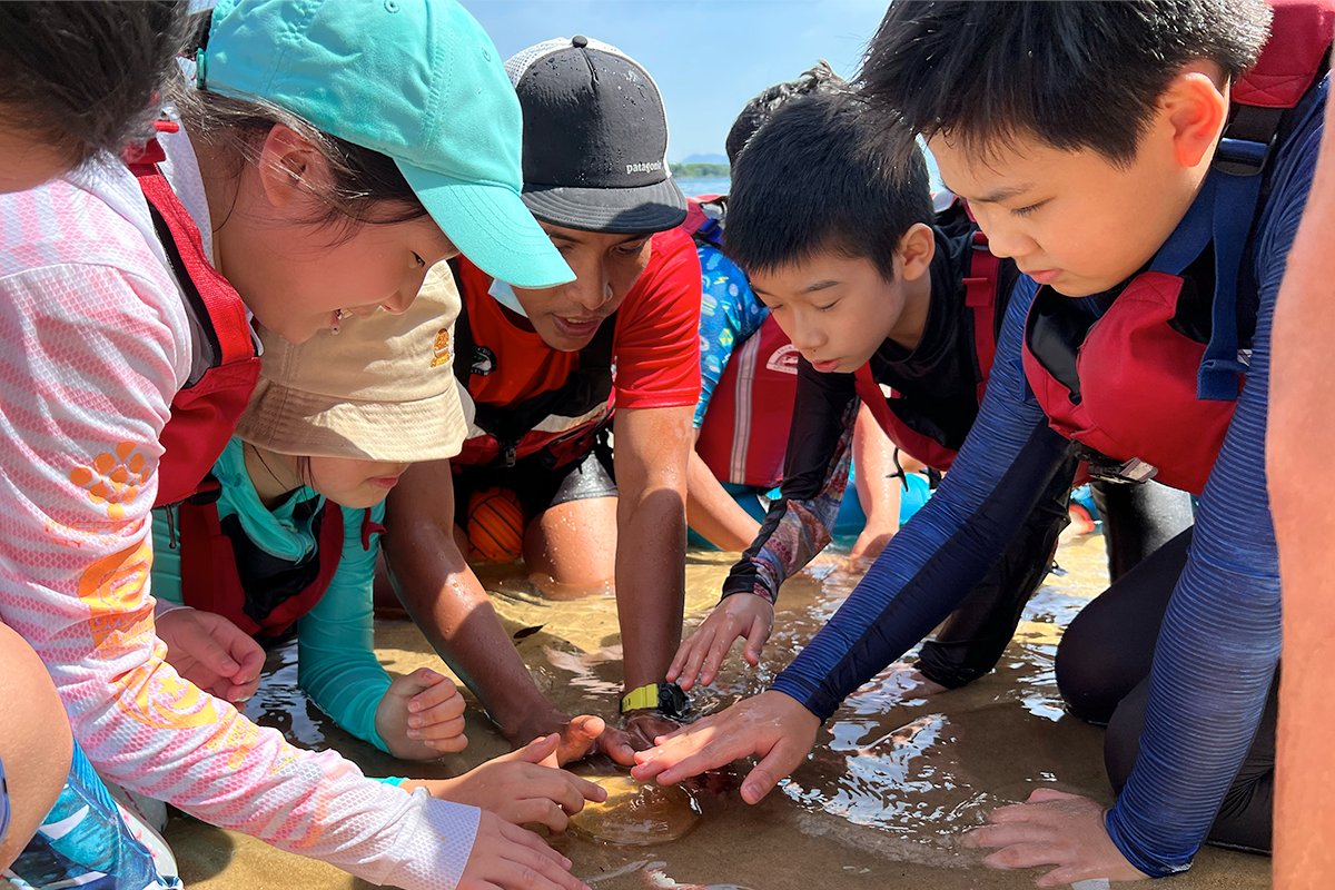 StamfordHK's tweet photo. The weather was perfect for the Grade 4 Water Skills Trip yesterday. Students had a fantastic time at Hoi Ha Wan Marine Park learning to snorkel and kayak together and exploring the diverse sea life in the marine park. 

#StamfordHK #CognitaWay #WaterSkillsTrip #OutdoorAdventure https://t.co/627GqAWrch