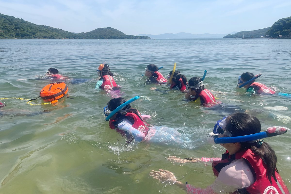 StamfordHK's tweet photo. The weather was perfect for the Grade 4 Water Skills Trip yesterday. Students had a fantastic time at Hoi Ha Wan Marine Park learning to snorkel and kayak together and exploring the diverse sea life in the marine park. 

#StamfordHK #CognitaWay #WaterSkillsTrip #OutdoorAdventure https://t.co/627GqAWrch