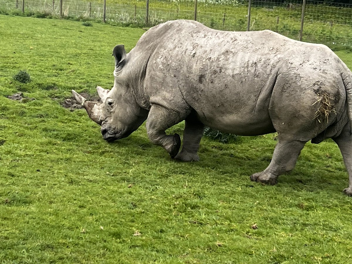 We’ve arrived! Here’s to having the best day ever with all our nursery children and their parents/carers 🦓🐆🐘