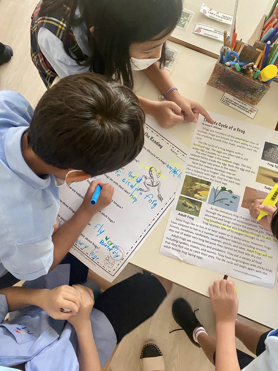 AIS_Grade2's tweet photo. Grade 2’s have been learning about life cycles in Integrated Studies. Today our tadpoles began to change into froglets by growing little arms and legs! #AISGrade2 #AISPrimarySch https://t.co/VYt2I5WHsE