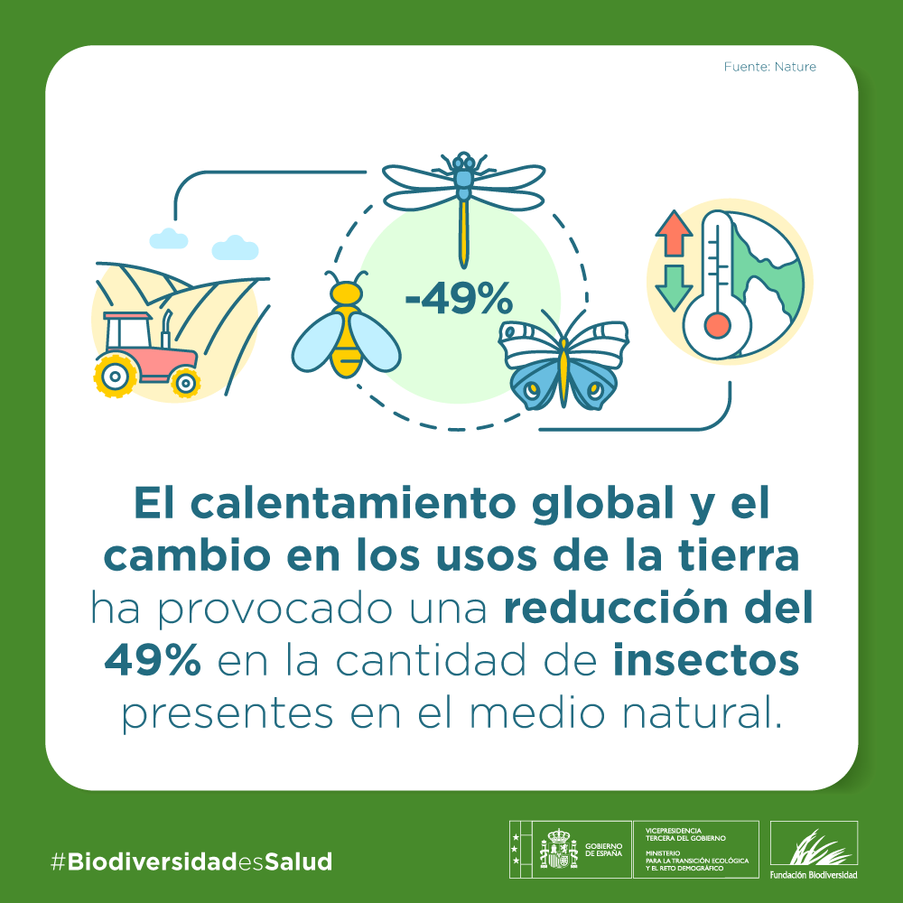 FBiodiversidad's tweet photo. La rápida disminución en el número de especies provoca un grave impacto en:

🏞️ El conjunto de ecosistemas 
🌽 Los cultivos útiles para la alimentación humana 

Así lo afirma un estudio publicado en la revista @Nature.

#BiodiversidadEsSalud https://t.co/D5pW8hApDY