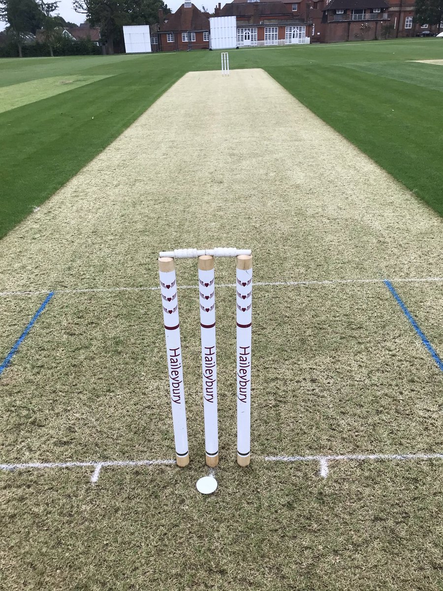 turfandy's tweet photo. We are looking to add another member to our Grounds team to help in our continued improvements. See the the link below or DM me for any other information.

https://t.co/hYrDnUfKaw https://t.co/MMT7Cb2Fwm